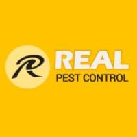 Real Pest Control Adelaide image 1